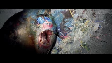 kaotic shocking graphic videos.
